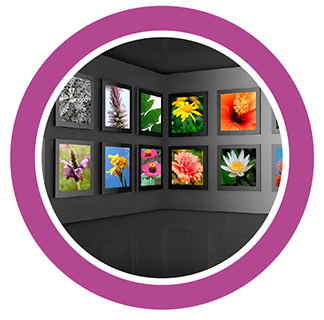 ファインアートイメージ